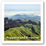 Pepperwood Preserve Landscape photo