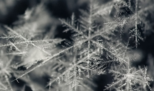 snowflakes_macro_04_1.jpg