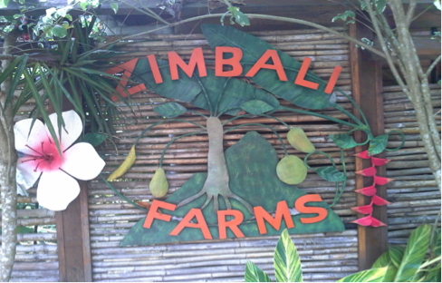 zimbali.png