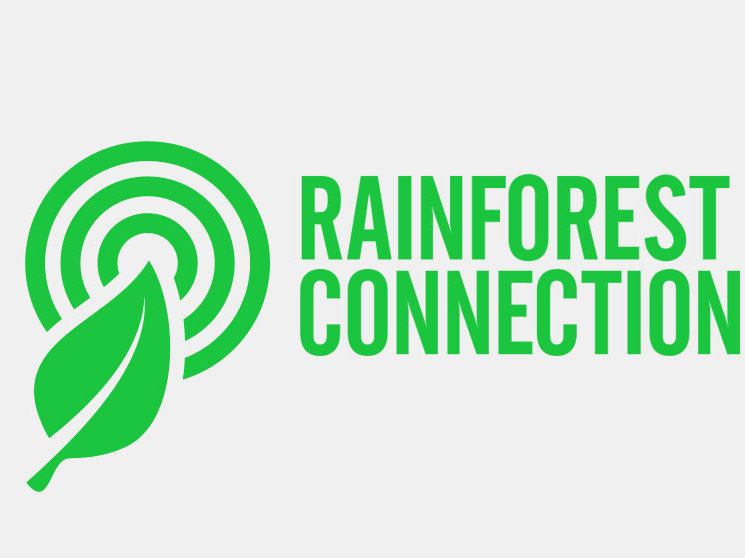 rainforest_logo_1.jpg